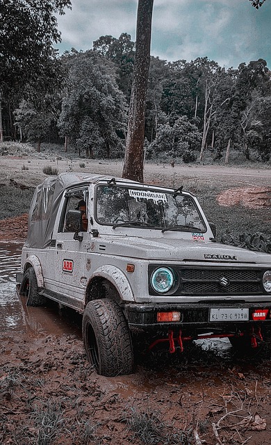 挖掘本土球 挖掘本土球